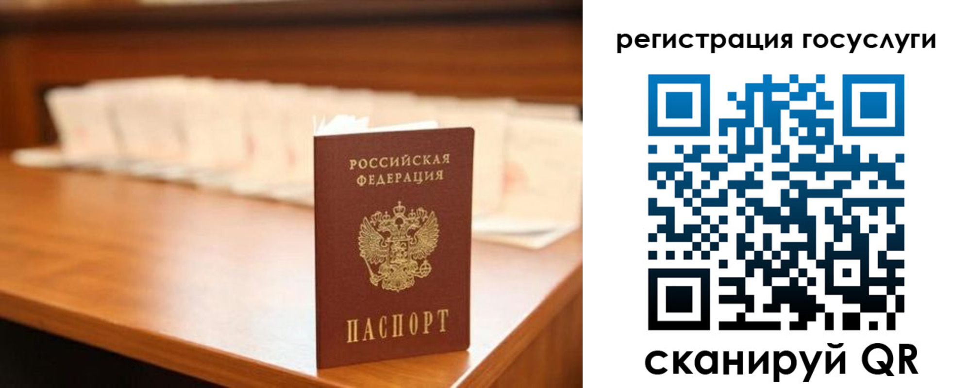 прописка в квартире в Краснодарском крае