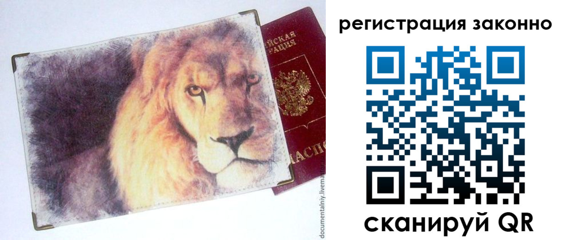 прописка гарантия в Краснодарском крае